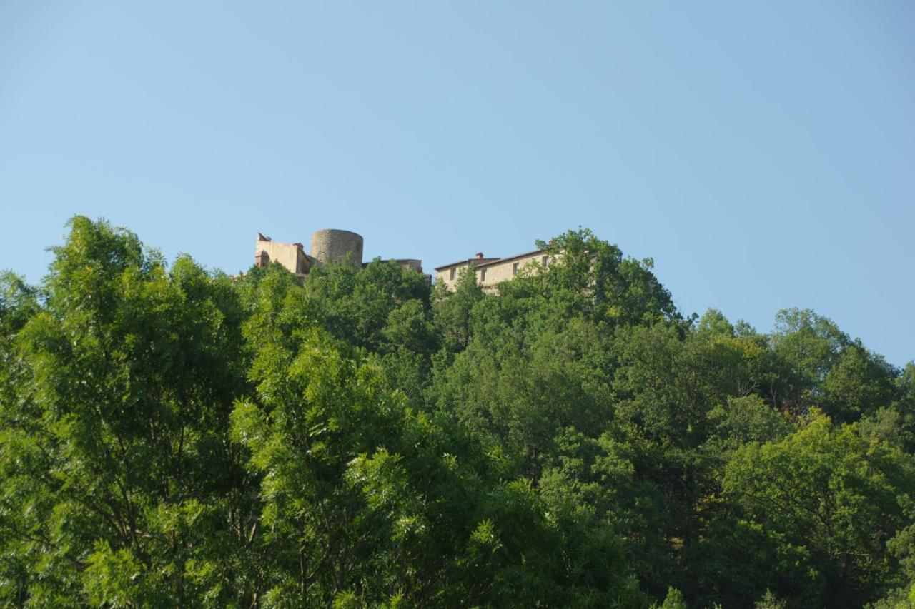 Tres Vents Del Roser - Grand Appartement Prats-de-Mollo-la-Preste Exterior photo